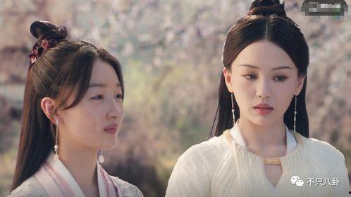 国产宝莲灯如何养护视频