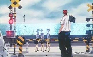 国产樱木花道视频