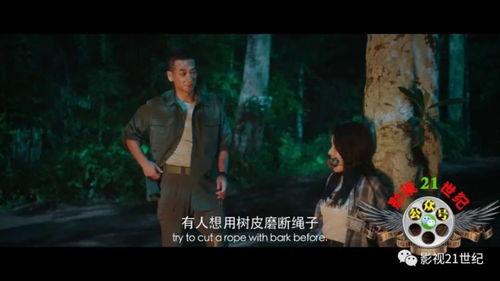 国产动作视频全集,国产动作电影全集巅峰对决