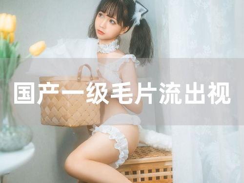 夜夜要国产精品视频,夜夜绽放的视听盛宴