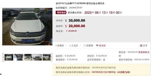 夜夜要国产精品视频,夜夜绽放的视听盛宴