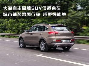 国产四驱suv脱困视频