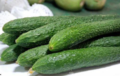 国产黄瓜条做嫩牛肉视频,轻松打造家常美味佳肴