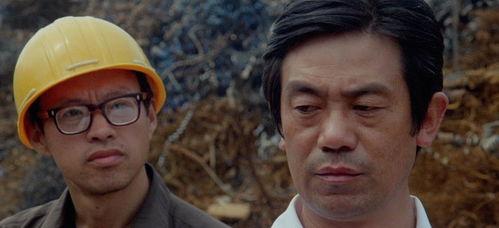 国产剧情35视频,激情燃烧的岁月，揭秘时代变迁下的青春传奇