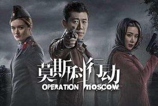 国产刑侦剧墓道视频,揭秘古墓之谜，刑侦精英破案传奇