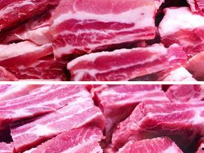 国产猪肉分割视频大全,国产猪肉分割视频大全深度解析