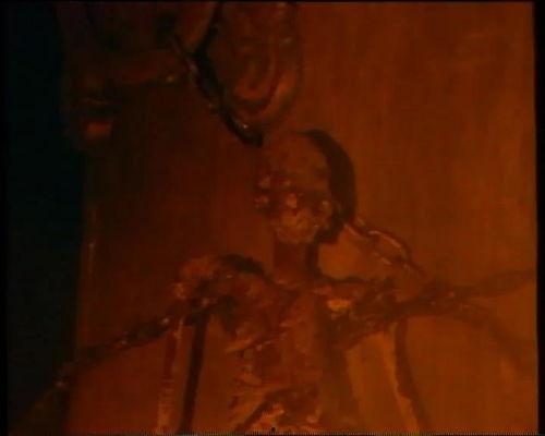 国产再现观看免费视频,免费视频盛宴来袭！