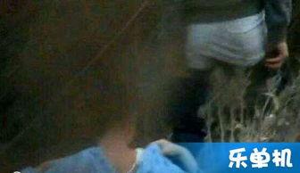 国产野战a视频下载,下载背后的激情与挑战