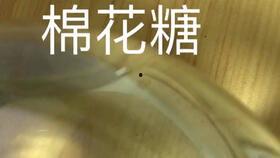 桥豆麻袋视频国产,国货之光，引领潮流新风尚