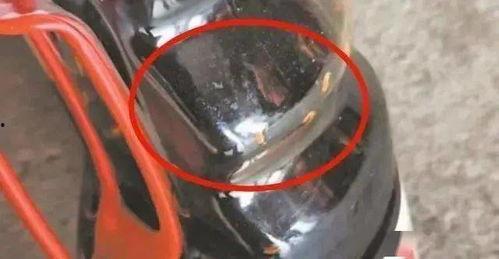 国产捕虫器视频大全,创新捕虫技术一览