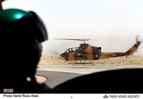 国产眼镜蛇视频,揭秘其神秘生活习性