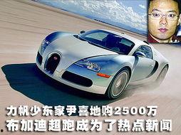 国产布加迪威龙视频,布加迪威龙国产版视频揭秘