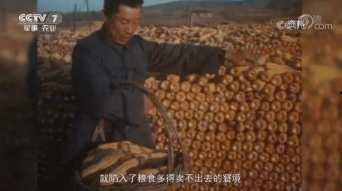 国产乱子伦真实精品视频,揭秘真实精品视频背后的故事