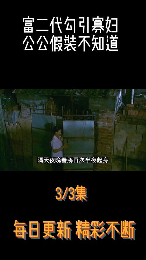 免费国产剧情视频,探寻时代变迁下的情感故事