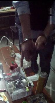 国产抓捕器视频大全,视频大全中的智慧与力量