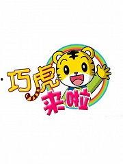 国产老虎在哪儿看视频,视频带你走进神秘虎园