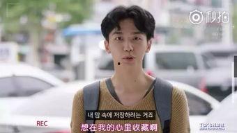 国产树林性爱视频,一场禁忌的视觉之旅