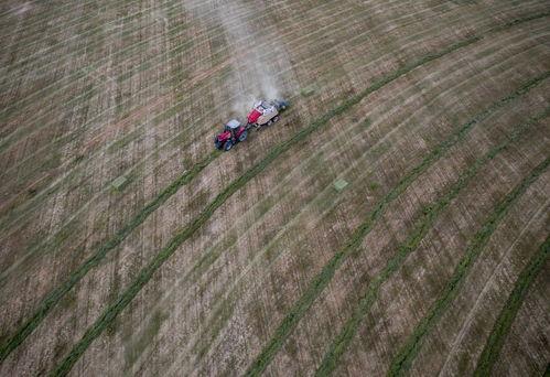 国产大型牧草收割视频大全  第2张