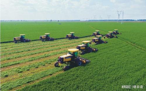 国产大型牧草收割视频大全  第3张