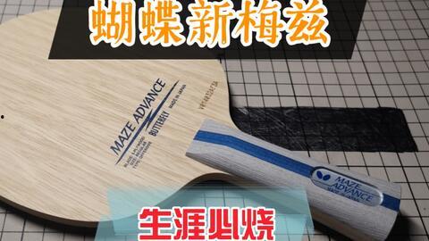 国产乒乓球拍视频,匠心独运，国球荣耀瞬间  第2张