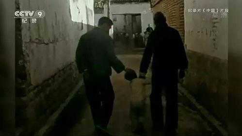 国产精品乱偷伦视频,偷伦视频背后的故事与启示  第3张