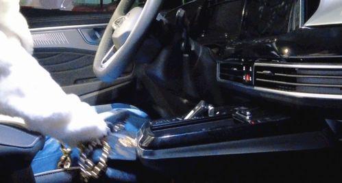 沉浸式看车国产动漫视频  第3张