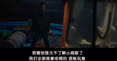 国产鸡电影图片视频在线,探寻国货之光下的养殖传奇  第3张