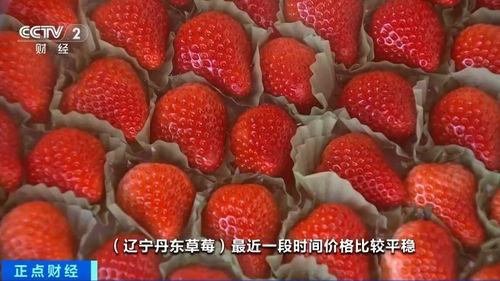 国产草莓视频在线看  第2张